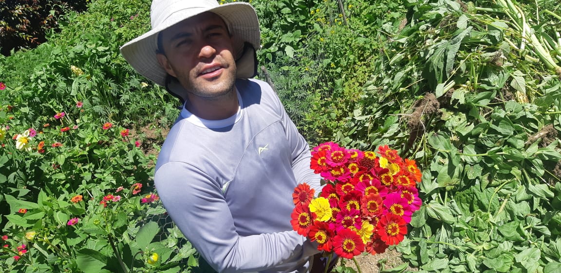 Flores naturales